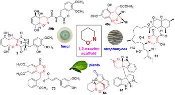 Natural products with 1,2-oxazine scaffold: occurrence, chemical diversity, bioactivity, synthesis, and biosynthesis