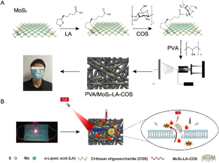 Encapsulating MoS2-nanoflowers conjugated with chitosan oligosaccharide into electrospun nanofibrous scaffolds for photothermal inactivation of bacteria