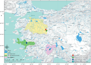 Trophic Niche of Four Oxynoemacheilus Species (Teleostei: Nemacheilidae) in the Different River Basins (Western Türkiye) during the spring