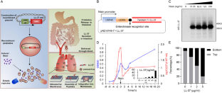 Recombinant Lactococcus lactis Expressing Human LL-37 Prevents Deaths from Viral Infections in Piglets and Chicken.