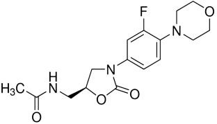 摘要图片