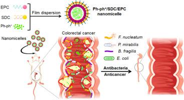 Treatment of colorectal cancer by anticancer and antibacterial effects of hemiprotonic phenanthroline-phenanthroline+ with nanomicelle delivery