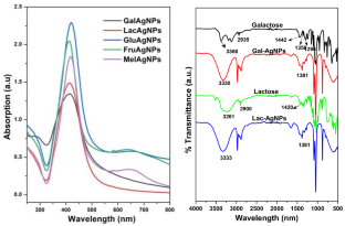 Interaction of sugar stabilised silver nanoparticles with Momordica charantia seed lectin, a type II ribosome inactivating protein.