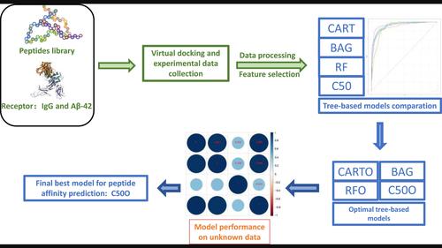 Use of tree-based machine learning methods to screen affinitive peptides based on docking data.