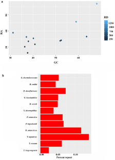 Simple sequence repeat insertion induced stability and potential ‘gain of function’ in the proteins of extremophilic bacteria