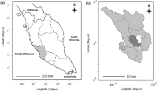 Limited Effect of Ground Floor Fogging on Mosquito Distribution in High-Rise Condominia.