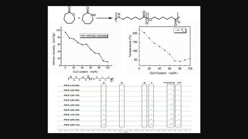 Regulation of ester contents enabled tunable thermal and mechanical properties of poly(ester amide)