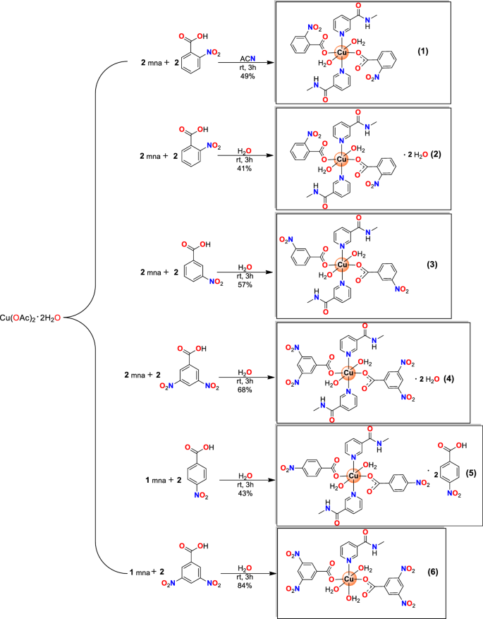 Hydrogen-bonded supramolecular structures in copper(II) nitrobenzoates with N-methylnicotinamide: synthesis, supramolecular structure, Hirshfeld surface analysis, spectral and DFT study