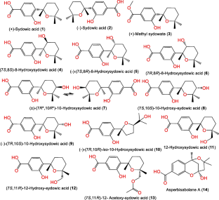 Fungal aromatic-bisabolane sesquiterpenoids—possible peptidylprolyl cis/trans isomerase (Pin1) inhibitors for cancer