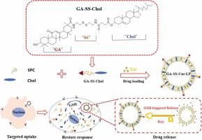 Construction of redox-sensitive liposomes modified by glycyrrhetinic acid and evaluation of anti-hepatocellular carcinoma activity