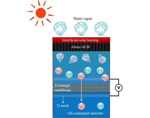 Solar evaporation for simultaneous oil-water separation and electricity generation with Janus wood-based absorbers