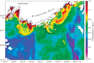 Mesoscale Anticyclonic Eddies in the Primorye Current System of the Japan Sea in Summer