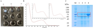 Analysis of the Glycoprotein Properties and Glycan Structures of Chicken Angiotensin Converting Enzyme 2