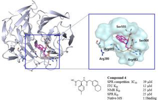 Screening approaches for the identification of Nrf2-Keap1 protein-protein interaction inhibitors targeting hot spot residues