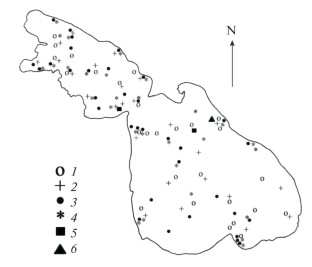 The Present-Day Structure of the Temperature and Current Fields in Lake Sevan