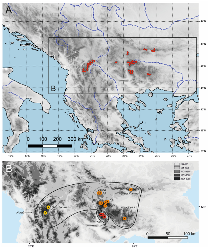 High-mountain phylogeography in the Balkan Peninsula: isolation pattern in a species of alpine siliceous grasslands and its possible background