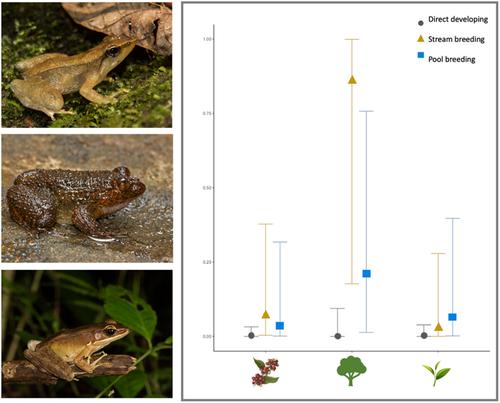 Life-history traits govern the habitat use of diverse amphibian assemblages in an agroforest landscape matrix