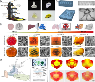 Bio-manufacturing innovation lights up the future