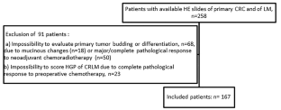 Association between primary tumor characteristics and histopathological growth pattern of liver metastases in colorectal cancer.