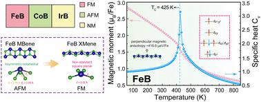 Enriching 2D transition metal borides via MB XMenes (M = Fe, Co, Ir): Strong correlation and magnetism†