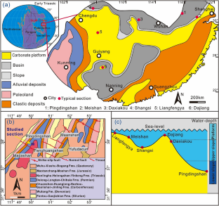 Episodic magmatism at the Permian/Triassic crisis boundary and its linkage to underlying source rocks: constraints from conodont-based high-resolution geochemical proxies in marine carbonate successions, South China