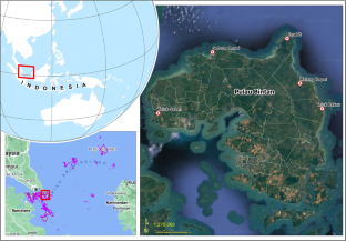 Economic value of mangrove ecosystem services in the coastal area of Bintan Island, Indonesia