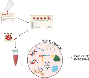 Advances in the Use of Residual Newborn Dried Blood Spots Within Environmental Epidemiology