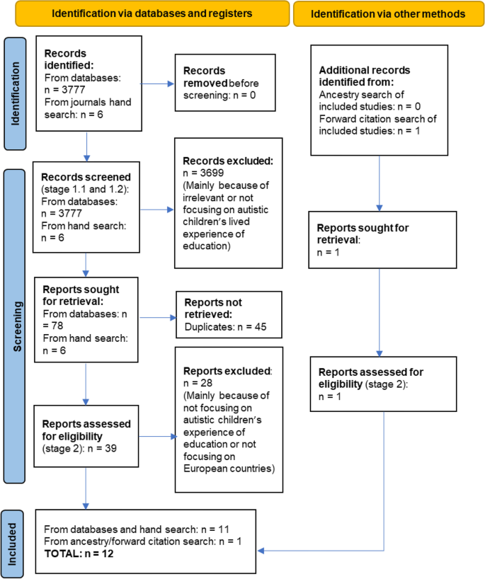 Informing Conceptual Issues Related to Autistic Children’s Right to Education Through a Literature Review of Their Lived Experience