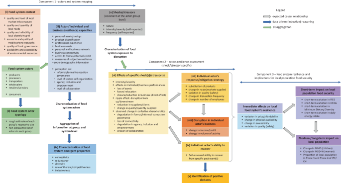 Food system resilience measurement: principles, framework and caveats