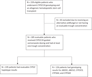 Pharmacogenetic and clinical predictors of voriconazole concentration in hematopoietic stem cell transplant recipients receiving CYP2C19-guided dosing