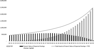 A lifetime allocation with human capital: implications for target date fund