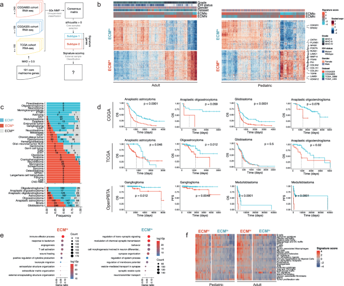 CNS tumor stroma transcriptomics identify perivascular fibroblasts as predictors of immunotherapy resistance in glioblastoma patients.