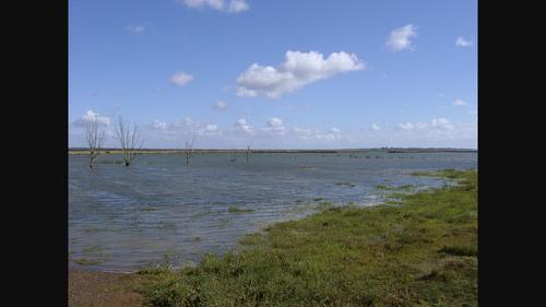 Inventing the managed realignment of the coast: Trying ‘to live with nature not defeat her’