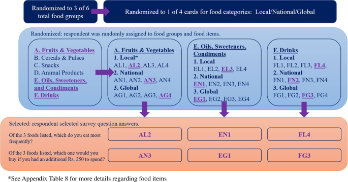 Local tastes and global flavors: food choice in the context of the nutrition transition in South India