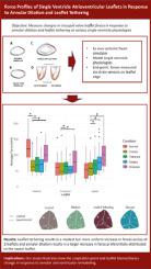 Force Profiles of Single Ventricle Atrioventricular Leaflets in Response to Annular Dilation and Leaflet Tethering