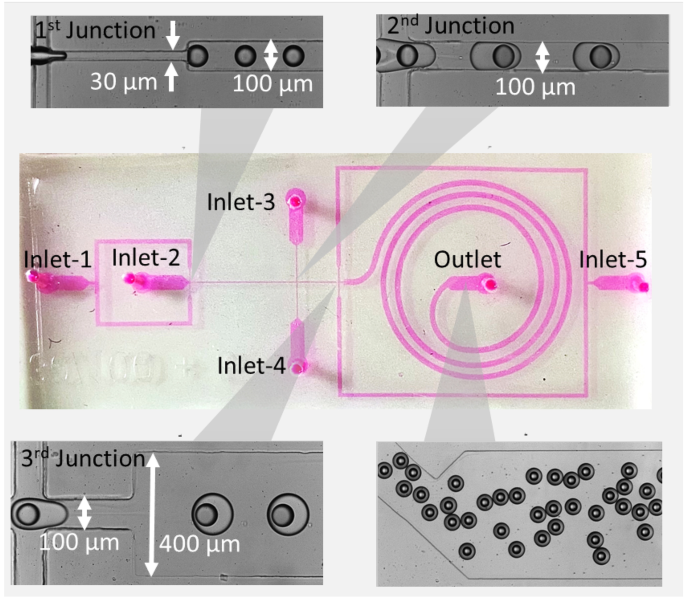 Fabrication and characterization of core–shell microparticles containing an aqueous core