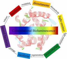 Understanding the complete bioluminescence cycle from a multiscale computational perspective: A review