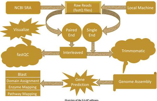 GAAP: A GUI-based Genome Assembly and Annotation Package.