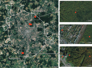 Distribution of Genetic Lineages of Parisotoma notabilis (Collembola) in the Urbanistic Gradient