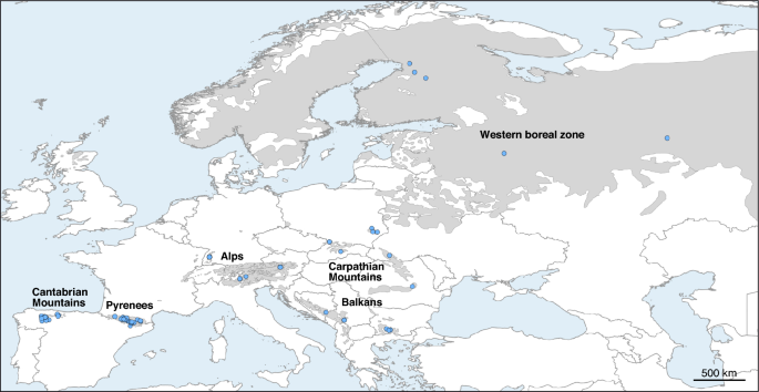 Genomic analysis of geographical structure and diversity in the capercaillie (Tetrao urogallus)