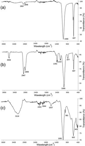 Geochemistry and mineralogy of the sebkha Oum El Khialate evaporites mixtures, southeastern Tunisia