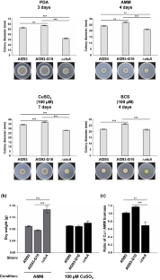 A novel Zn<sub>2</sub>-Cys<sub>6</sub> transcription factor clcA contributes to copper homeostasis in Aspergillus fumigatus.