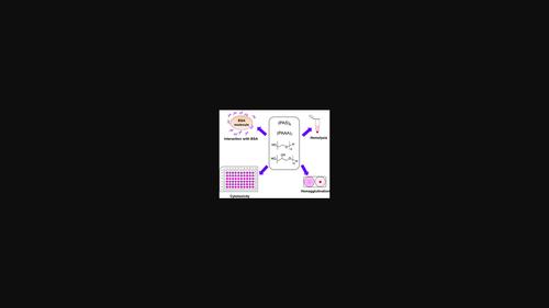 An in vitro evaluation of the biocompatibility of proline‐alanine‐serine peptides compared with polyethylene glycol and polyglycerol