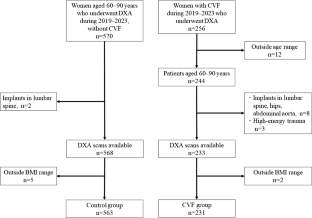 Can TBS reference values be a valid indicator for clinical vertebral fracture? A cross-sectional study.