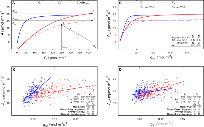 The slope of assimilation rate against stomatal conductance should not be used as a measure of water use efficiency or stomatal control over assimilation.