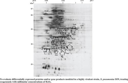 Comparative Proteomic Analysis of Hydrogen Peroxide-induced Protein Expression in Streptococcus pneumoniae D39