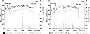 Phosphorus Leaching During Potato Production in Coarse Soil