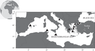 Morphometric Analyses of the Angular Roughshark, Oxynotus centrina (Oxynotidae), with Biological Notes on Specimens from the Sea of Marmara