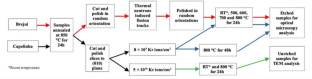 Thermal annealing of fission and ion tracks in epidote