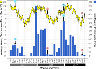 Soil microbiological indicators in Coffea arabica crops under different weed management strategies